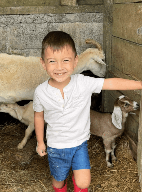 Happy child interacting with goats on a family farm tour at Tuete Farm