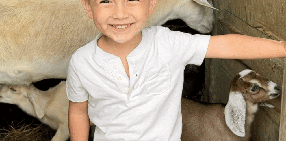 Happy child interacting with goats on a family farm tour at Tuete Farm