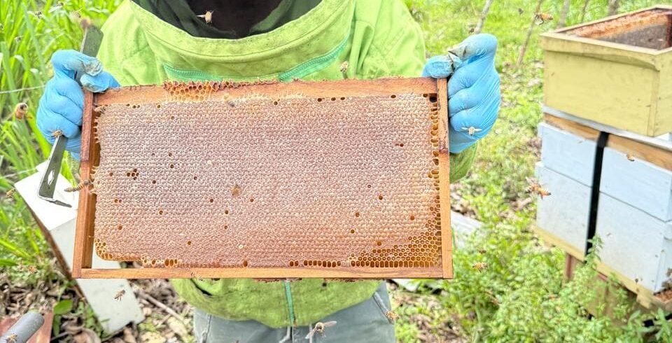 A worker at Tuete Farm Tours in La Fortuna, Costa Rica.